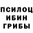 Псилоцибиновые грибы прущие грибы XxDlc User