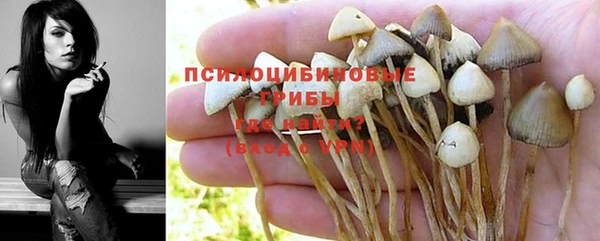 герыч Алексин