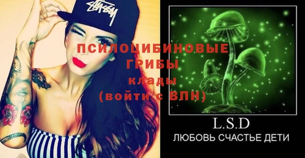 герыч Алексин