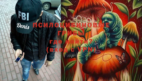 герыч Алексин